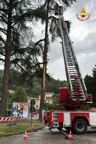 Sant’Angelo in Vado, fulmine colpisce un pino secolare: intervengono i Vigili del Fuoco